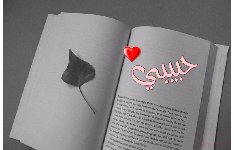 Name Your Lover On An Open Book And Leaf Tree Postcard