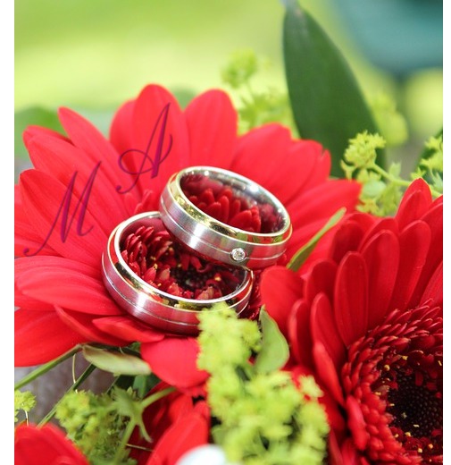 A Lover Of Flowers And Rings Postcard