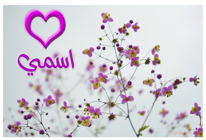 Write Name On Flowers Postcard