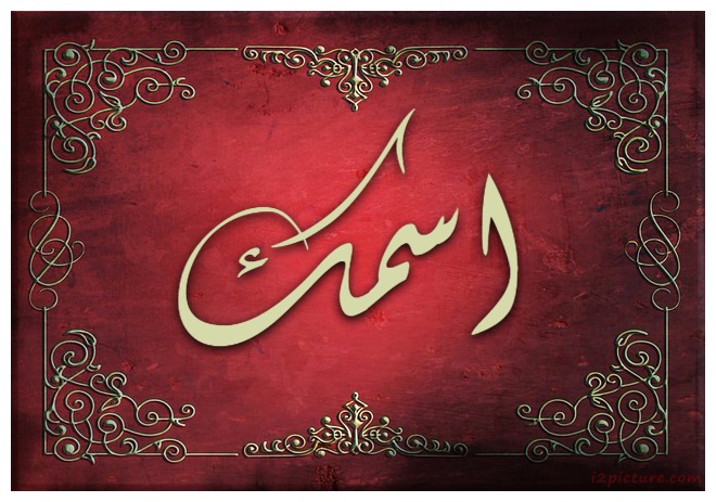 Type Name On Golden Frame Postcard