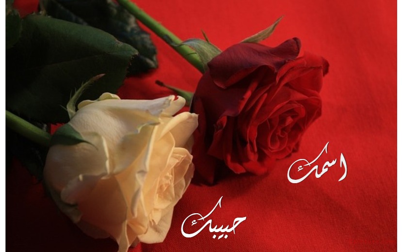 Flowers On A Red Background Postcard