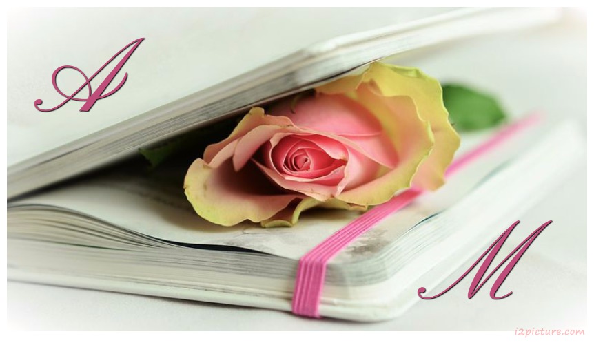 Your Lover's Name On The Book And A Rose Postcard