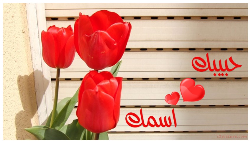 Your Name On Your Lover Flowers Postcard