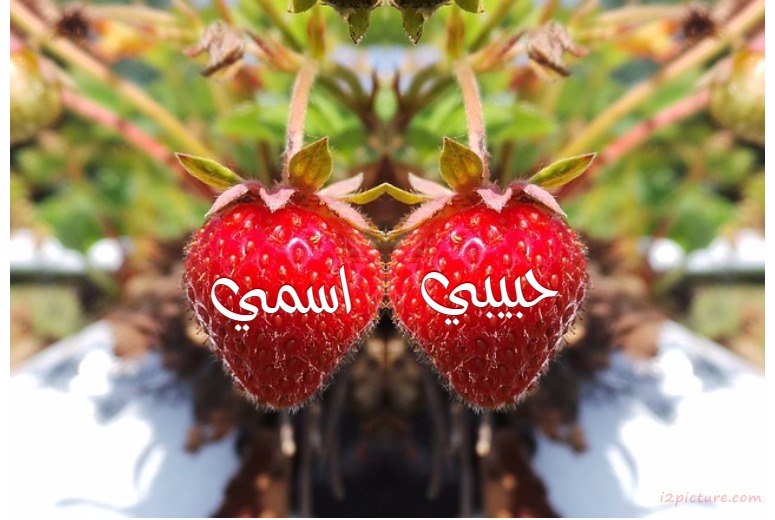 Fruits Of Strawberries On The Tree Postcard