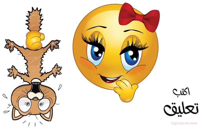 Smiley Face Girl  Amsk El Bsaa Postcard