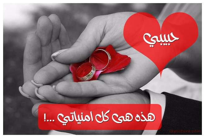 !... هذه هى كل امنياتي Postcard