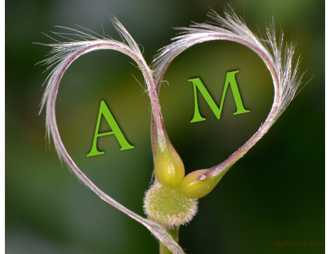 Your Name And Your Lover At The Heart Of The Plant 5 Postcard