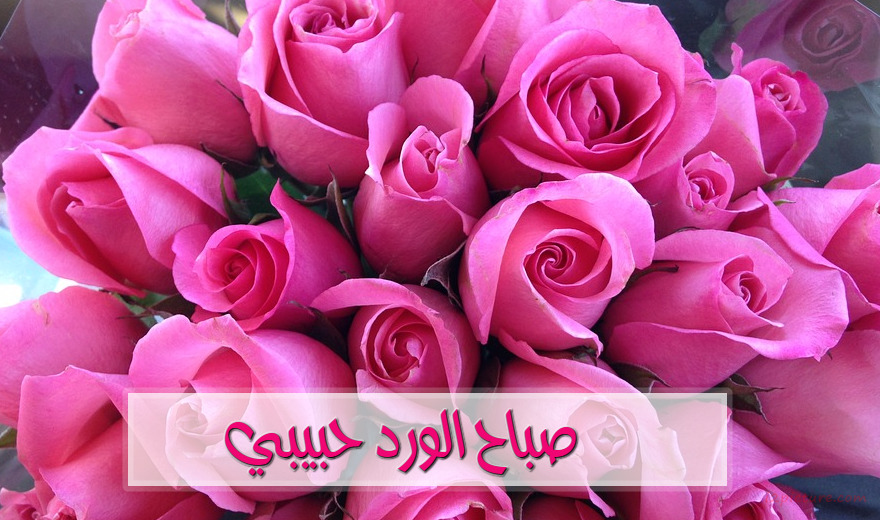 Good Morning Postcard