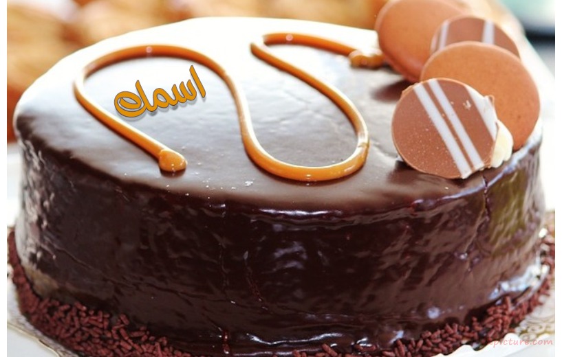 Chocolate Cake Postcard