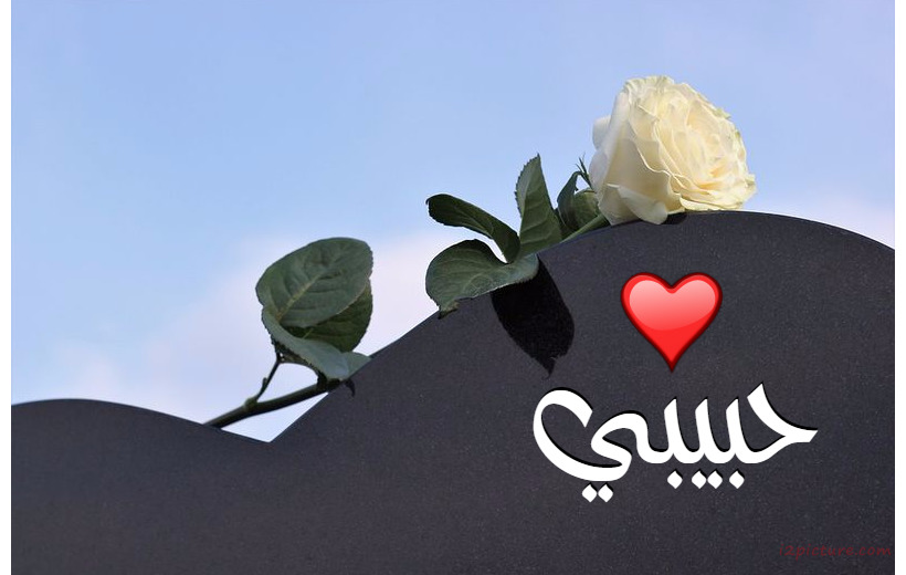 Large Heart Of Wood And Flower Postcard