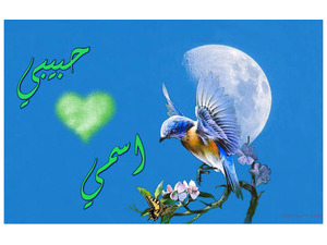 Your name on a blue background and a bird