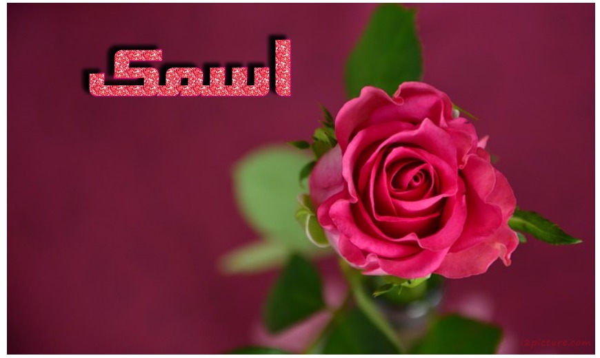 Your Name On The Pink Flower Postcard