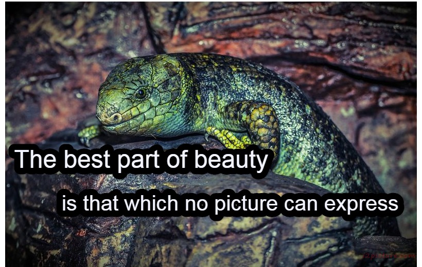 حكم و خواطر - The Best Part Of Beauty Is That Which No Picture Can Express