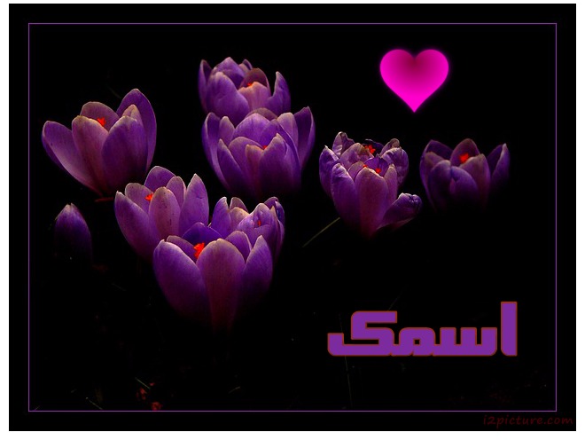 Your Name On The Purple Flowers Postcard