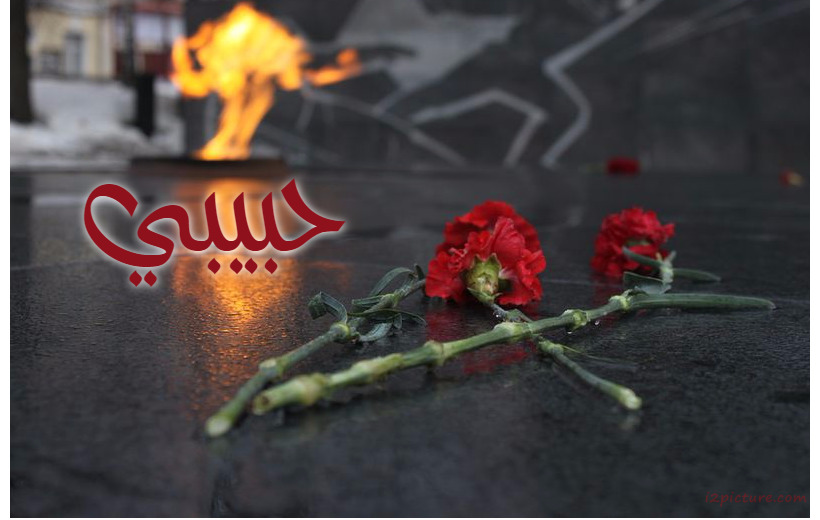 Your Lover's Name On The Red Flower On The Ground Postcard