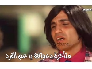 متأخرة دعوتك يا عم القرد