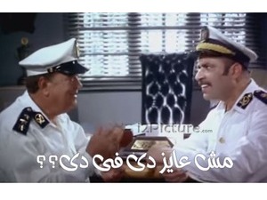 مش عايز دى فى دى؟؟