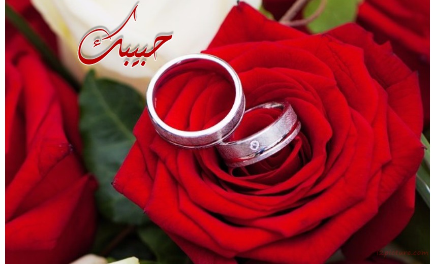 Your Lover's Name On The Wedding Ring Postcard