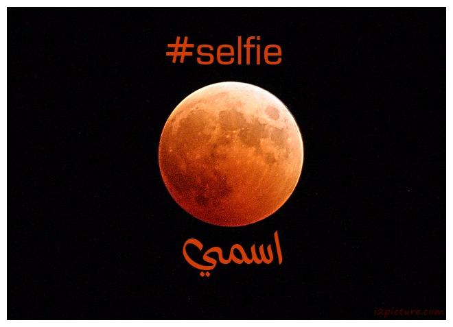 Selfie Moon Postcard