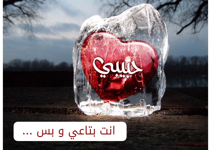 انت بتاعي و بس... Postcard