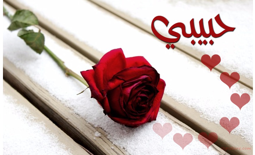 Your Lover's Name On A White Rose And A White Wood Postcard