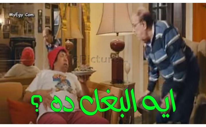  قفشات الأفلام - ايه البغل ده ؟