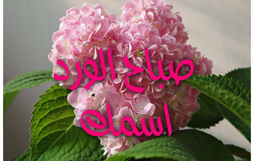 Your Name And Your Lover On Flowers 7676 Postcard