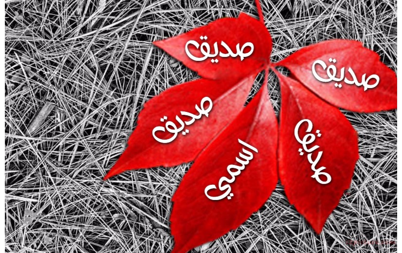 The Names Of Your Friends On The Tree Leaves Postcard