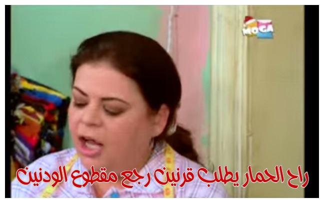  قفشات الأفلام - راح الحمار يطلب قرنين رجع مقطوع الودنين