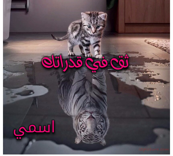 ثق في قدراتك Postcard