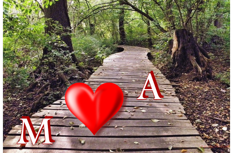 Name Your Lover On A Wood Platform Postcard