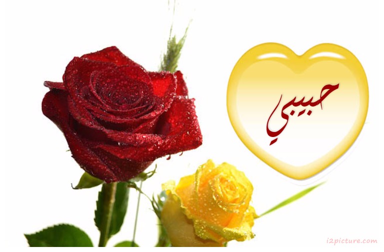 Your Lover's Name On The Flowers Postcard