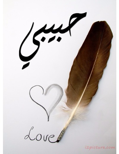 Your Lover's Name On The Paper And Feather Postcard
