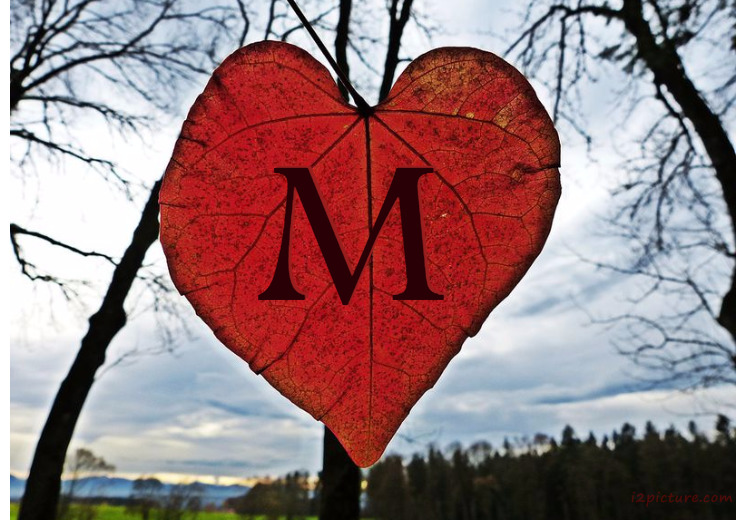 Your Name And Your Lover Are On A Red Tree Paper Postcard