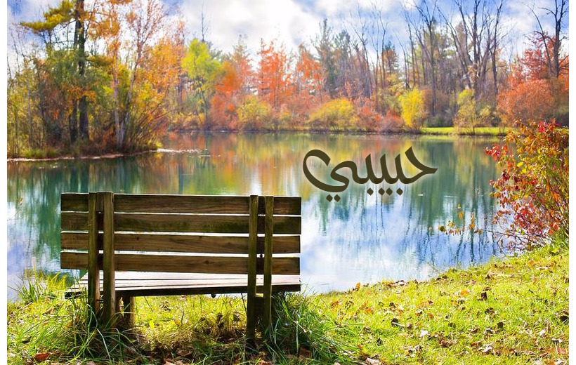 Your Lover's Name On A Bench In The Park Postcard
