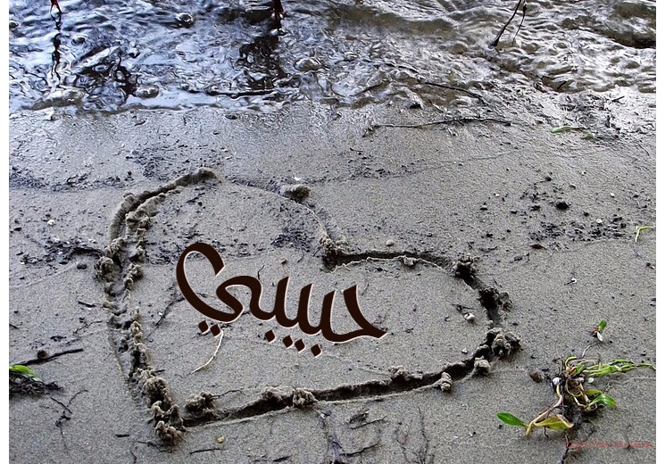 Your Name And Your Lover At Heart In The Mud Postcard