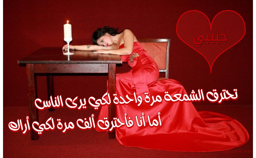 تحترق الشمعة مرة واحدة لكي يرى الناس أما أنا فأحترق ألف مرة لكي أراك Postcard