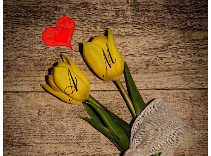 Your Lover's Name On The Yellow Flowers On The Ground Postcard