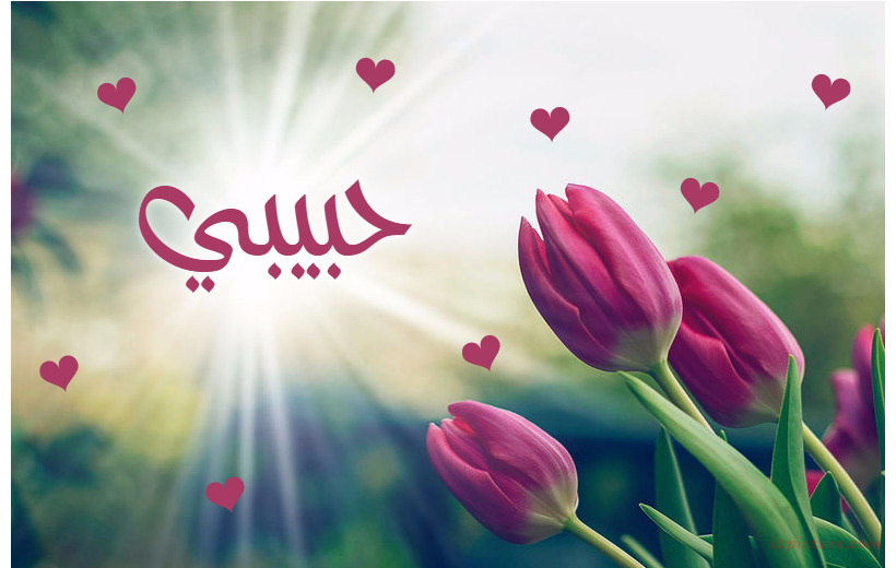 Your Lover's Name On The Flash Illumination With Flowers Postcard