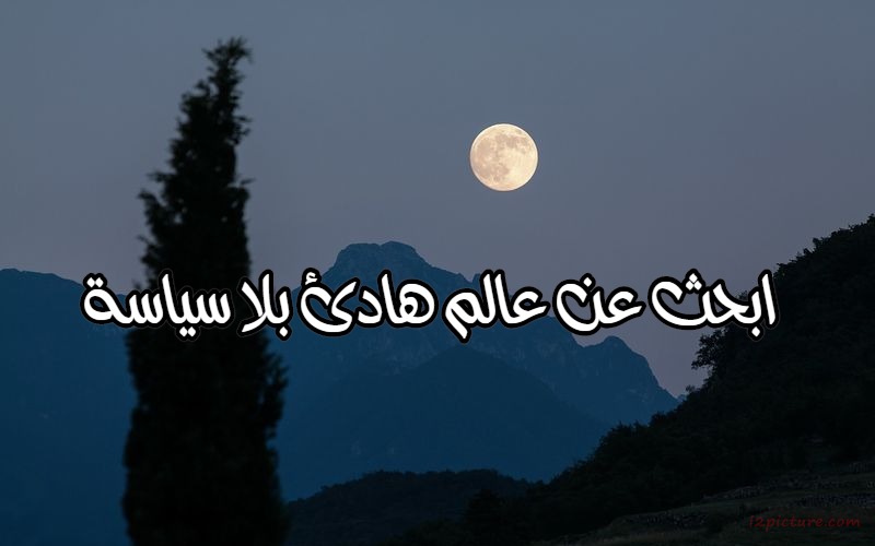  حكم و خواطر - ابحث عن عالم هادئ بلا سياسة 