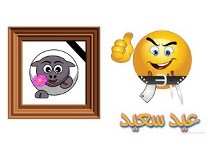 happy eid sheep butcher