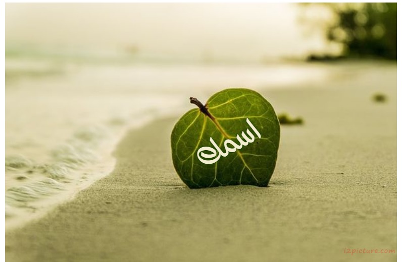 Your Name On A Leaf On The Beach Postcard