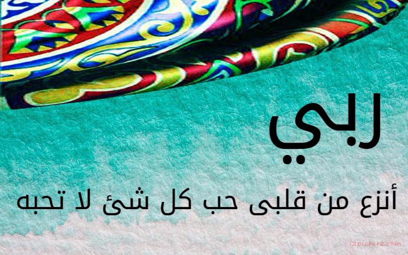 edit picture />
                     <form style=