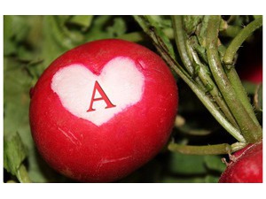 Your lover's name on the fruit