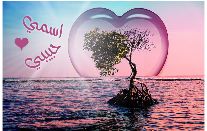 Your Name And Your Lover On A Tree On An Island And The Heart Postcard