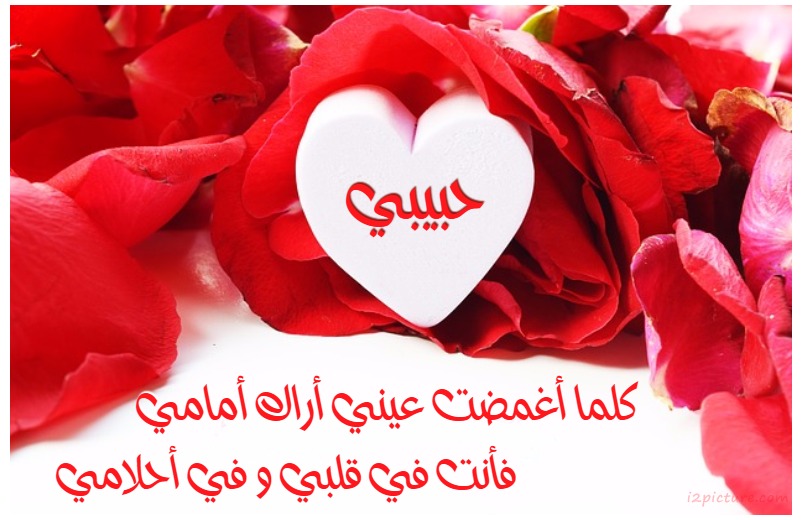 كلما أغمضت عيني أراك أمامي فأنت في قلبي و في أحلامي Postcard