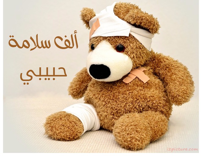 Write Your Name On The Teddy Bear Patient Postcard