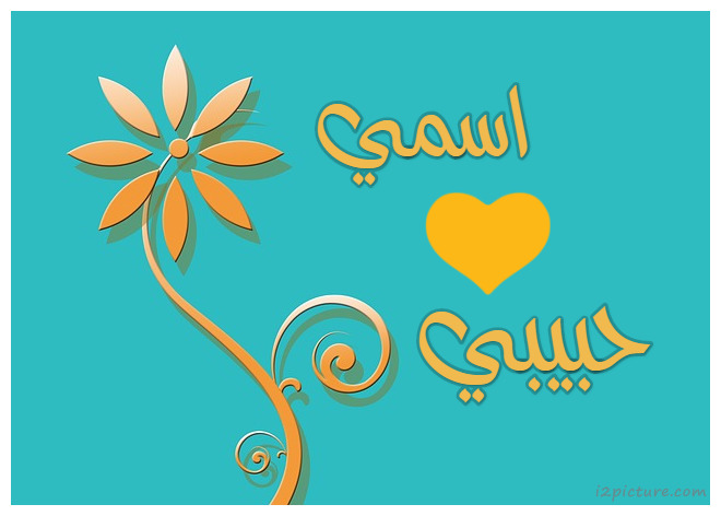 Orange Flower Postcard