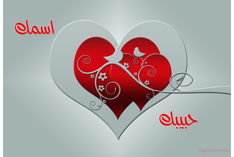 Red Heart With Birds Postcard