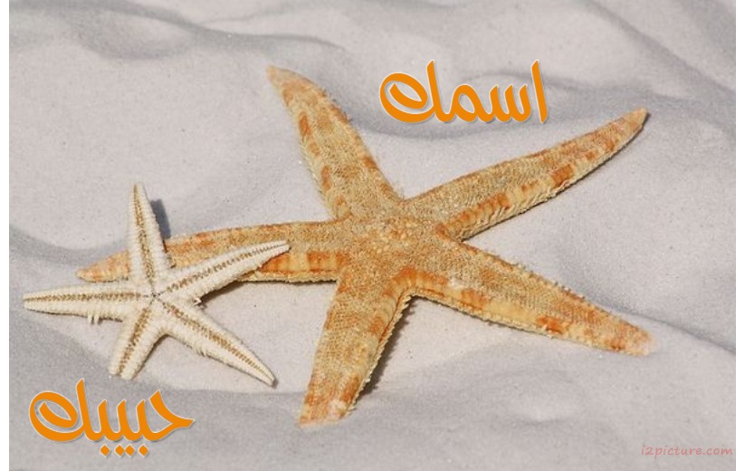 Write Your Name On The Starfish Postcard